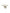 Salontafel - Kimberly 100cm wit plain
